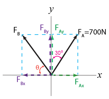 Determine the magnitude and orientation solution