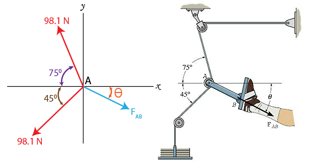 Exerted along link AB by the tractive apparatus shown