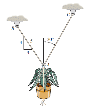 Determine the maximum weight of the flowerpot