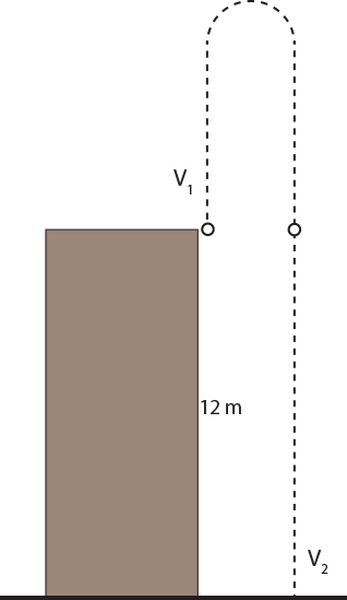 A boy throws a ball straight up from the top